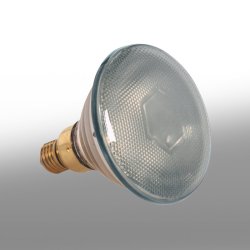 Bombilla LUZ BLANCA para lámparas calientaplatos Pujadas
