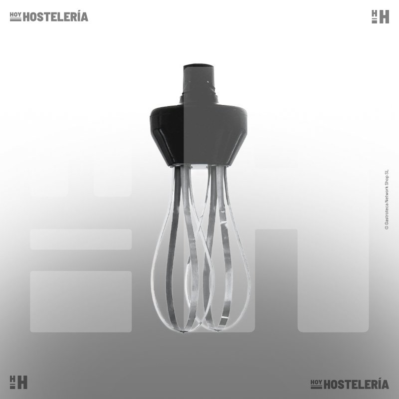 Brazo batidor BB320 para TBVV300/400