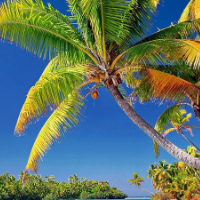 Equipo tropicalizado