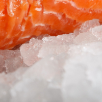 Exposición y conservación alimentos frescos